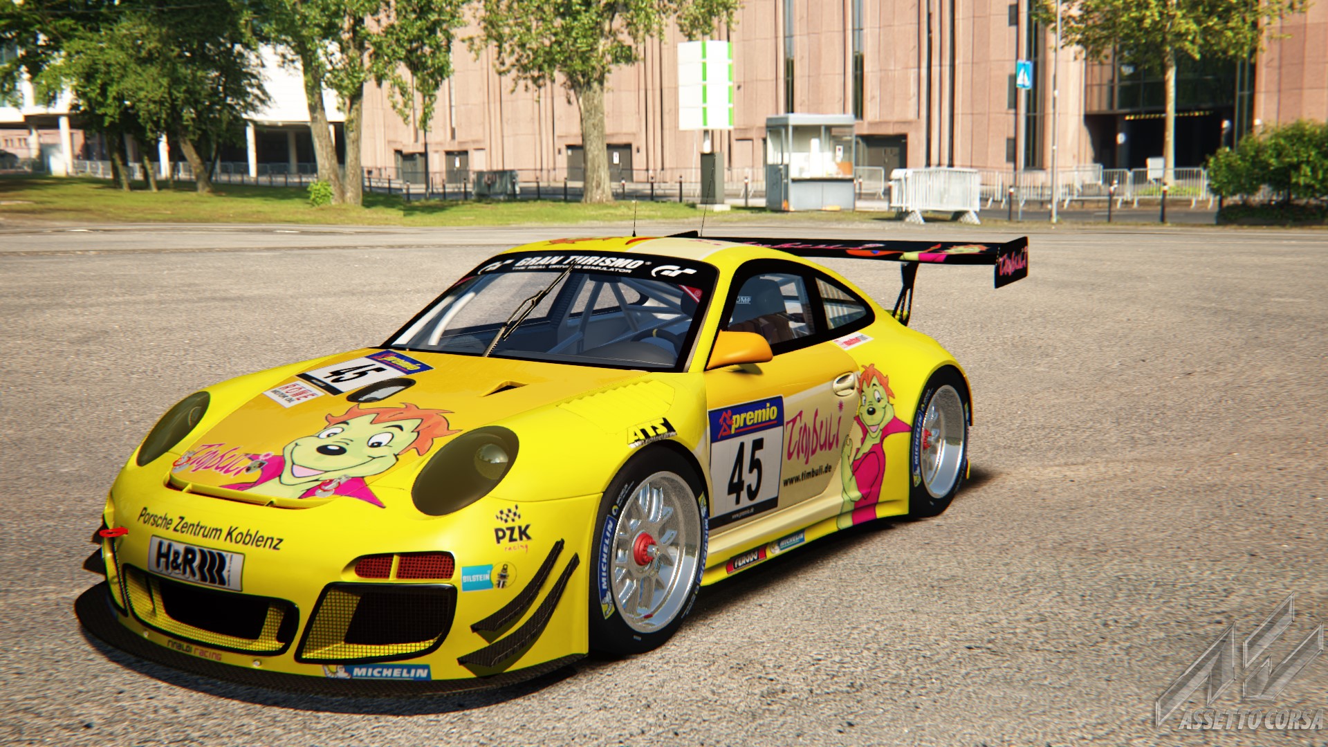 Porsche 911 GT3 R, skin timbuli